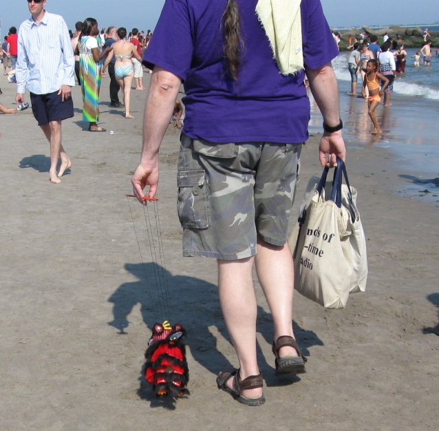 mermaid_20080621_0853 (313K)