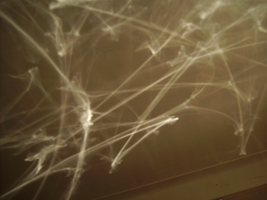lights on the ceiling